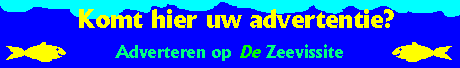 Klik hier voor meer informatie over adverteren op De Zeevissite