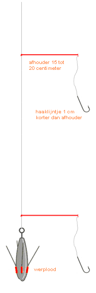 De onderlijn met bezemdraad-afhouders
