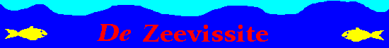zeevissen met de zeevissite